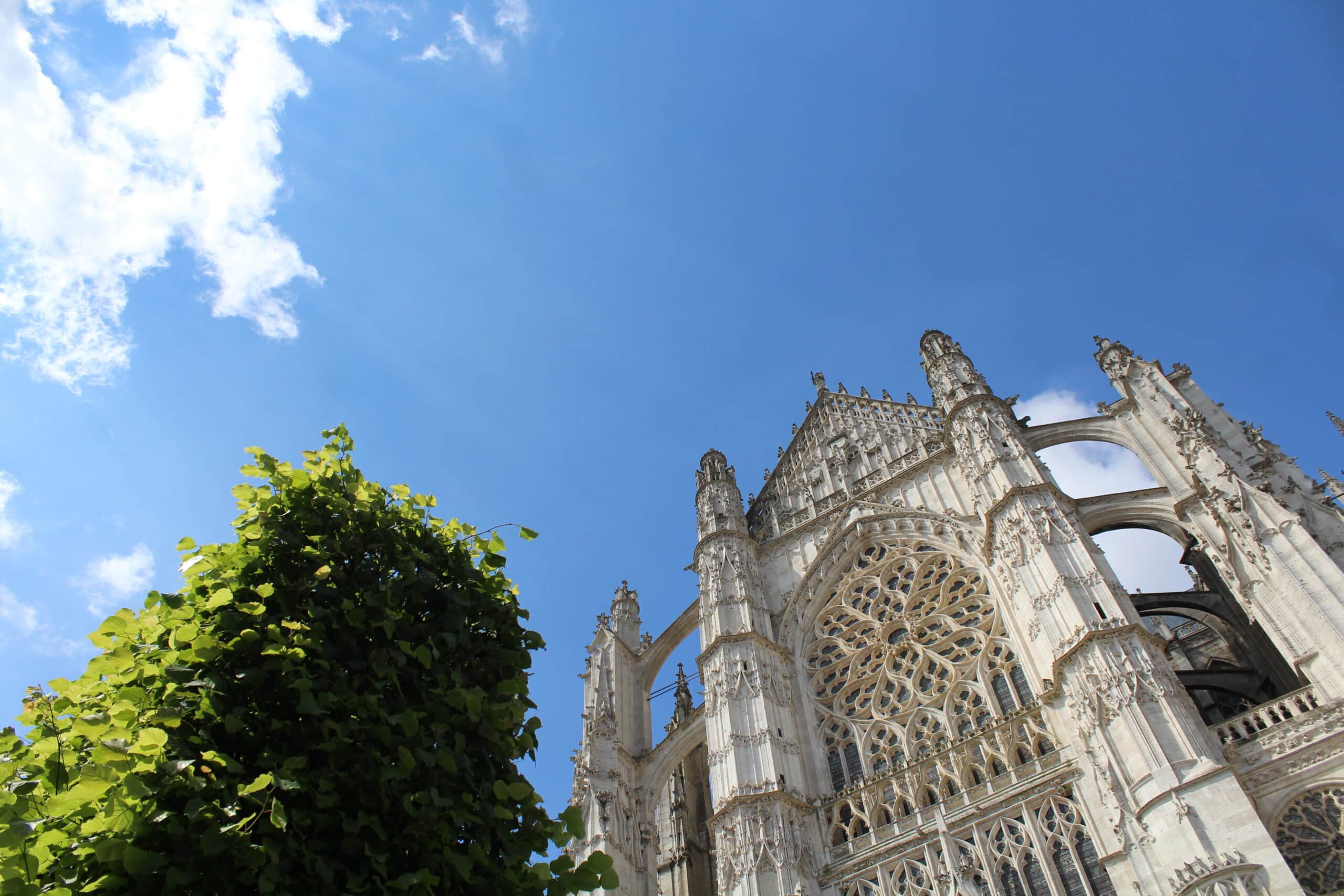 Vue extérieure de la cathédrale saint pierre de beauvais avec végétation et ciel bleu